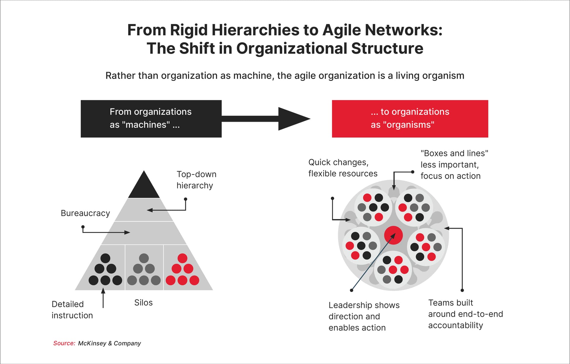 The Importance of Agility 